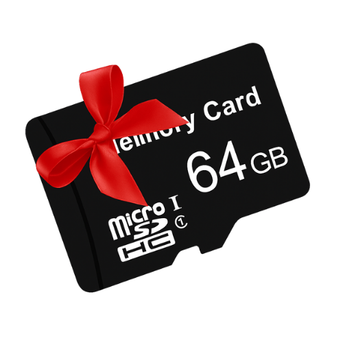 64GB SD card for More Games and Movies