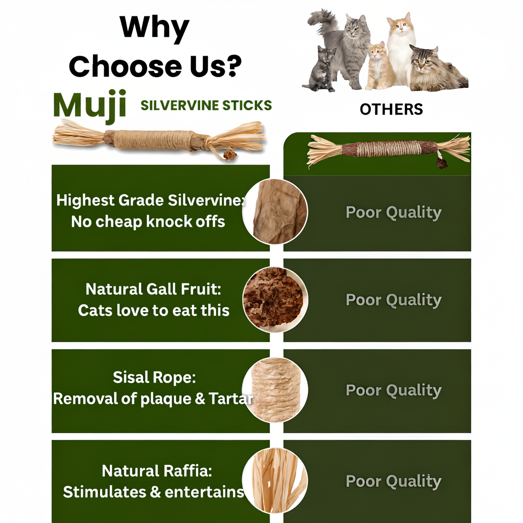 Muji Silvervine Dental Sticks