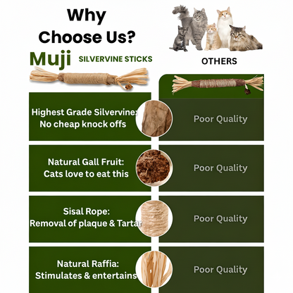 Muji Silvervine Dental Sticks