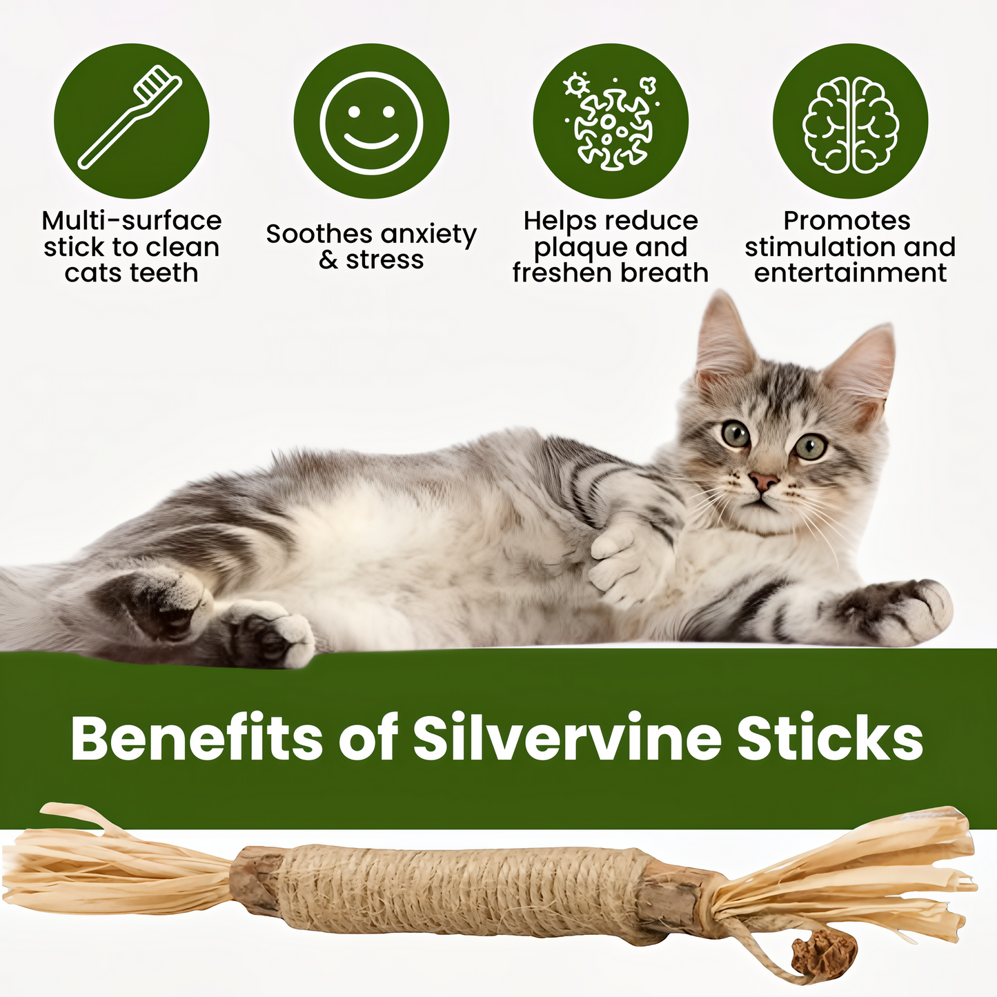 Muji Silvervine Dental Sticks