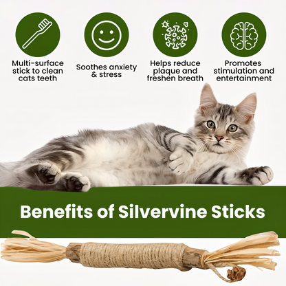 Muji Silvervine Dental Sticks