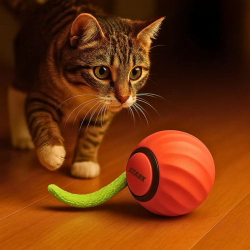 Muji Interactive Cat Ball